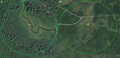 Wind Sheltering Impacts on Land-Atmosphere Fluxes Over Fens